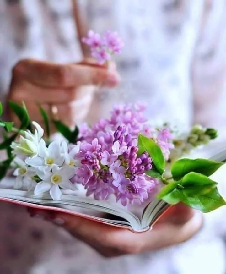 Фиолетовые весенние цветы. Сирень. Весенние цветы в руках. Нежные весенние цветы. Цветок радости и вдохновения