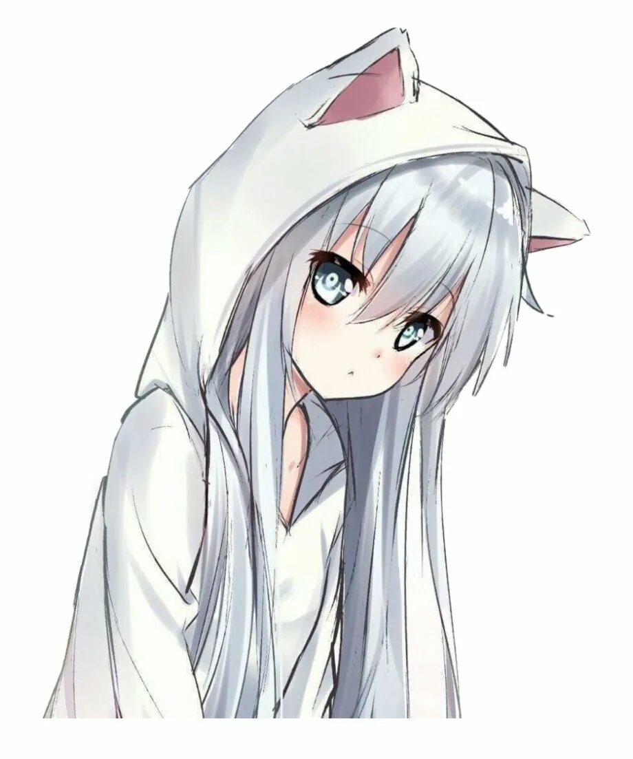 Аниме кошки карандашом. Девочка кошка легкая. Цубаса ханэкава неко. Рисунок кошки для срисовки. Аниме рисунки карандашом.