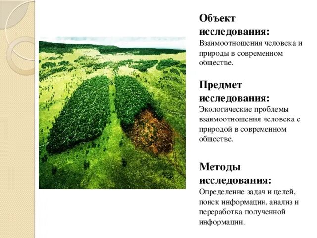 Объекты исследования экологии. Объект изучения экологии взаимодействие живых систем. Исследовать проблему взаимосвязи человека и природы. Исследования при взаимодействии человека с природой. Определение экологии, предмет и объект..