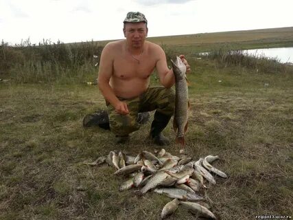 Оброчное мордовия