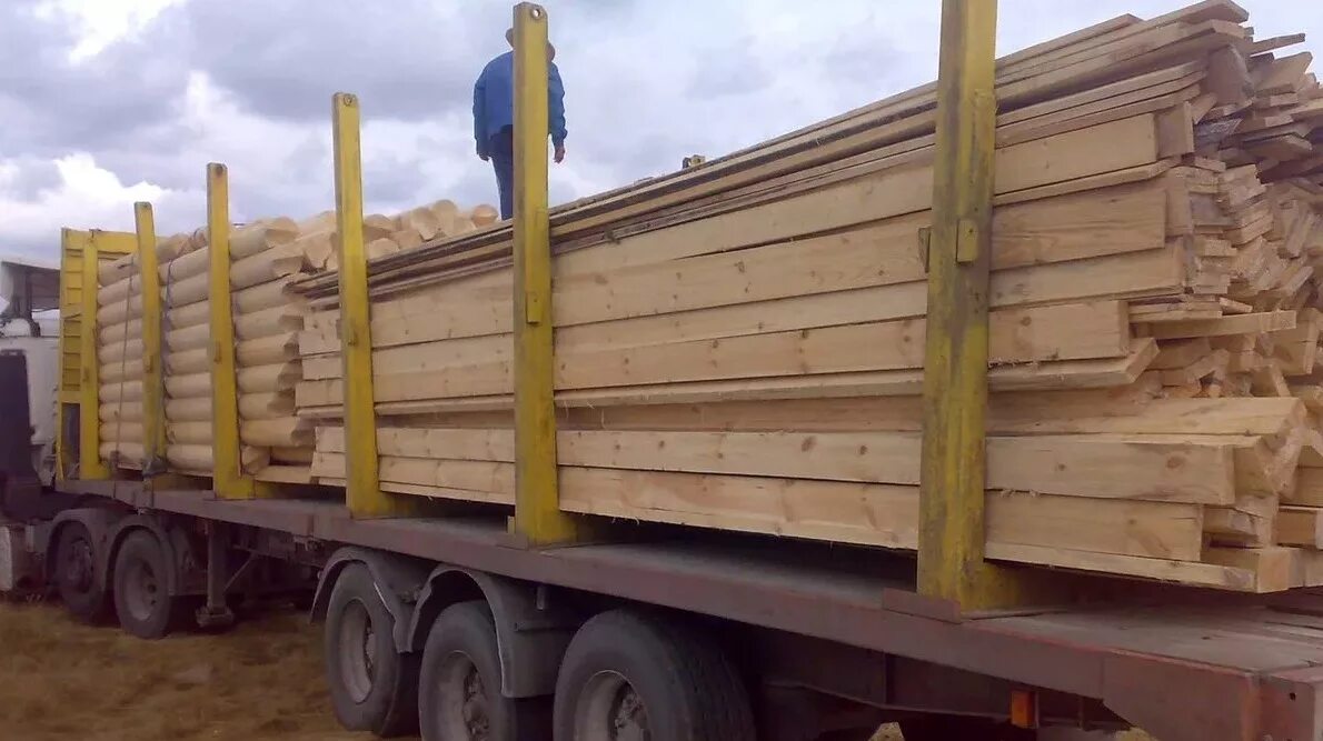 170 кубов леса. 150 кубов леса фото. Лес пиловочник сосна. 25 кубов леса. 100 кубов леса.