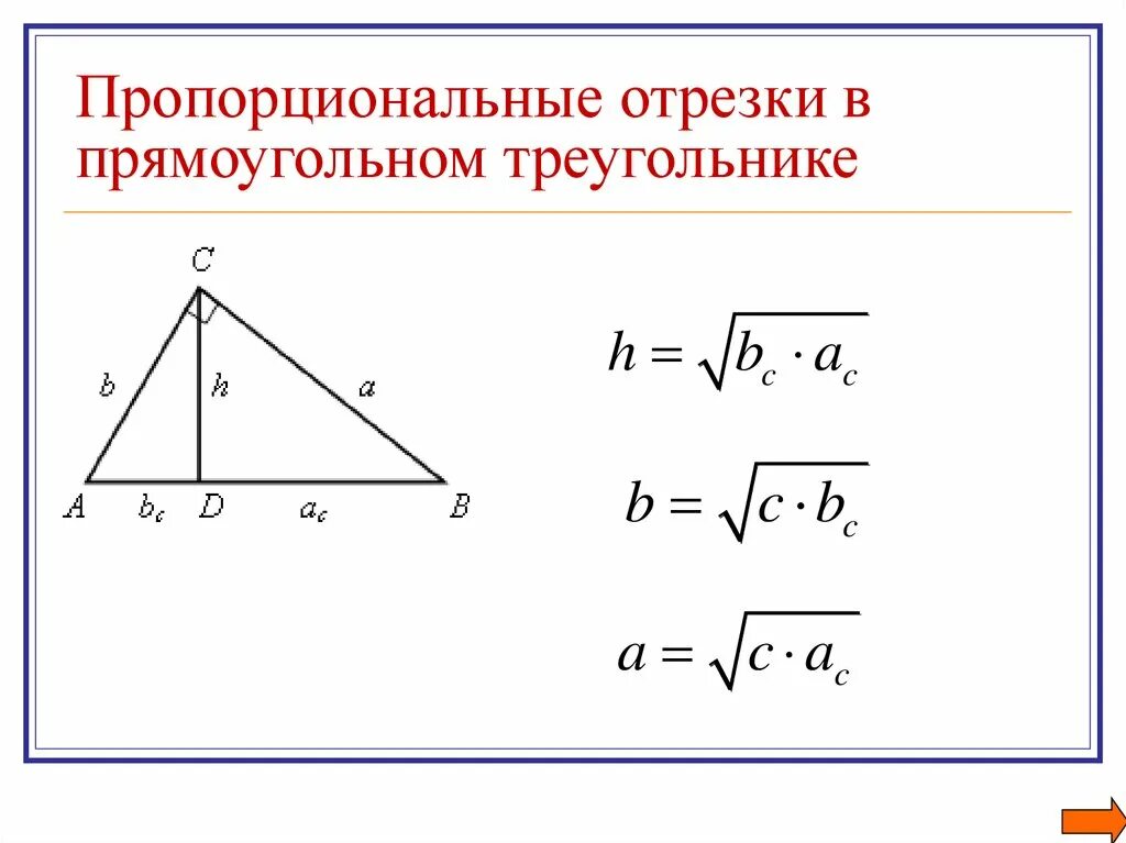 Проекция геометрия прямоугольный треугольник