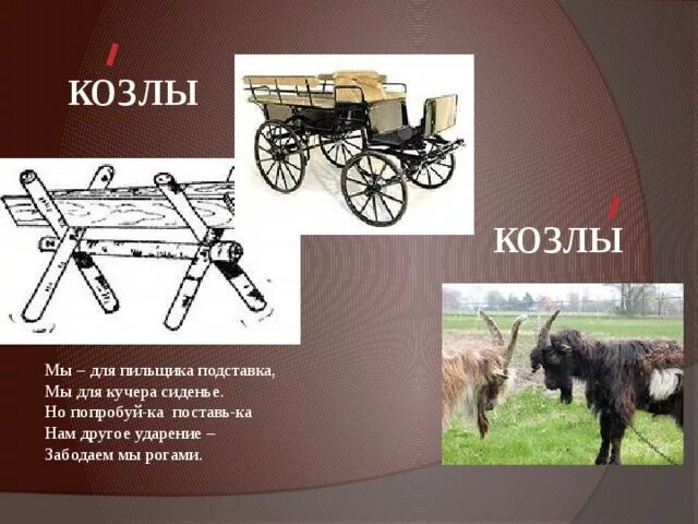 Карета лексическое значение. Карета лексическое значение