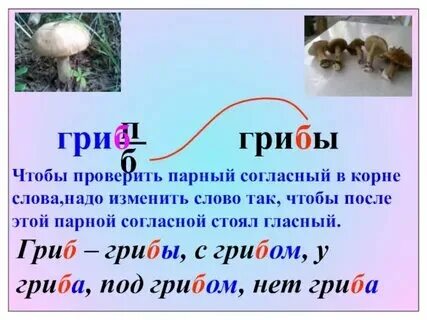 Какое окончание в слове гриб