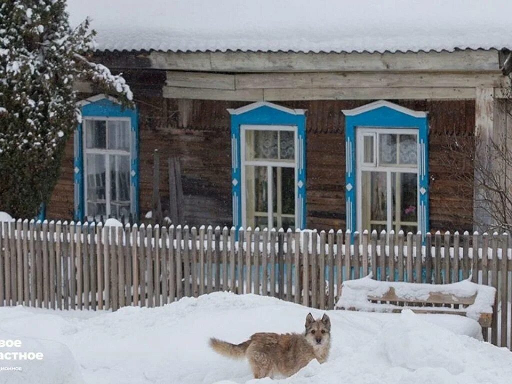 В россии продлят дачную амнистию. Законопроект о дачной амнистии.