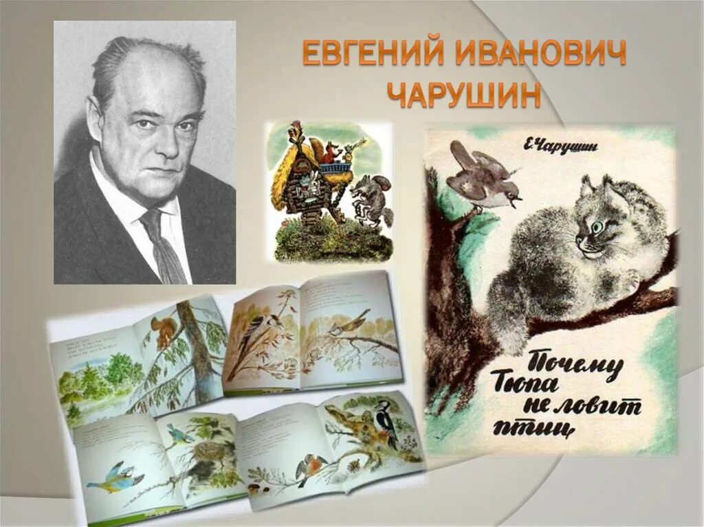 Рассказы евгения ивановича чарушина. Герой рассказов чарушина. Чарушин рассказы про томку. Сказки чарушина 1 класс. Е чарушин тюпа.