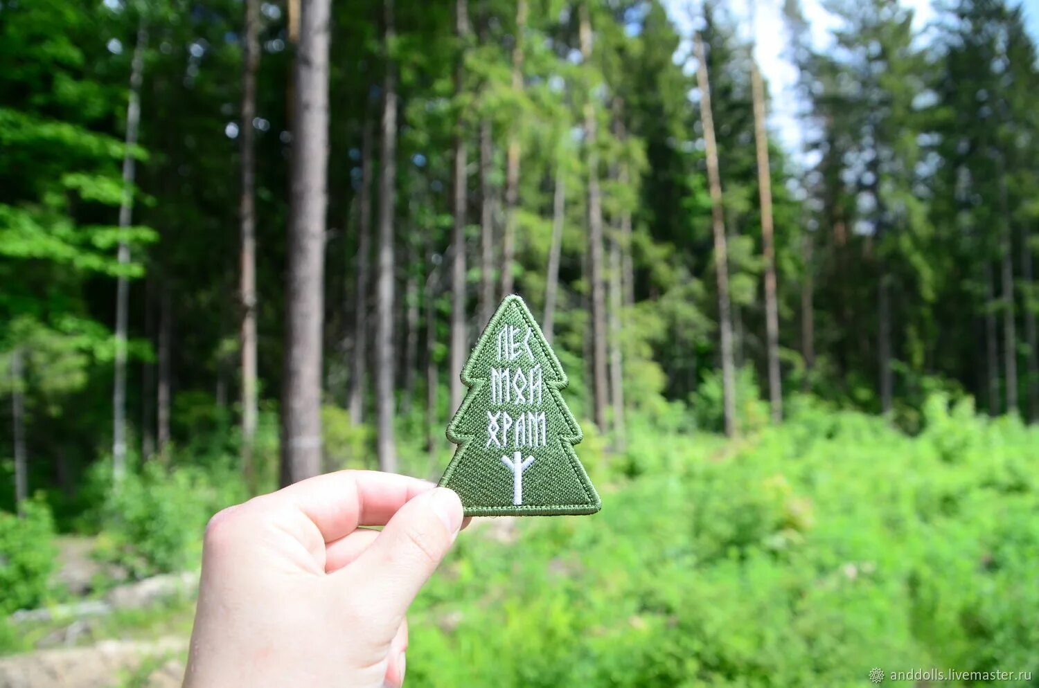 Forest патч. Лес мой храм. патч лес мой храм. лес мой храм руны. нашивка лес.