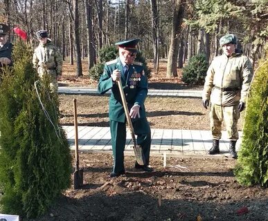 Открытая аллея