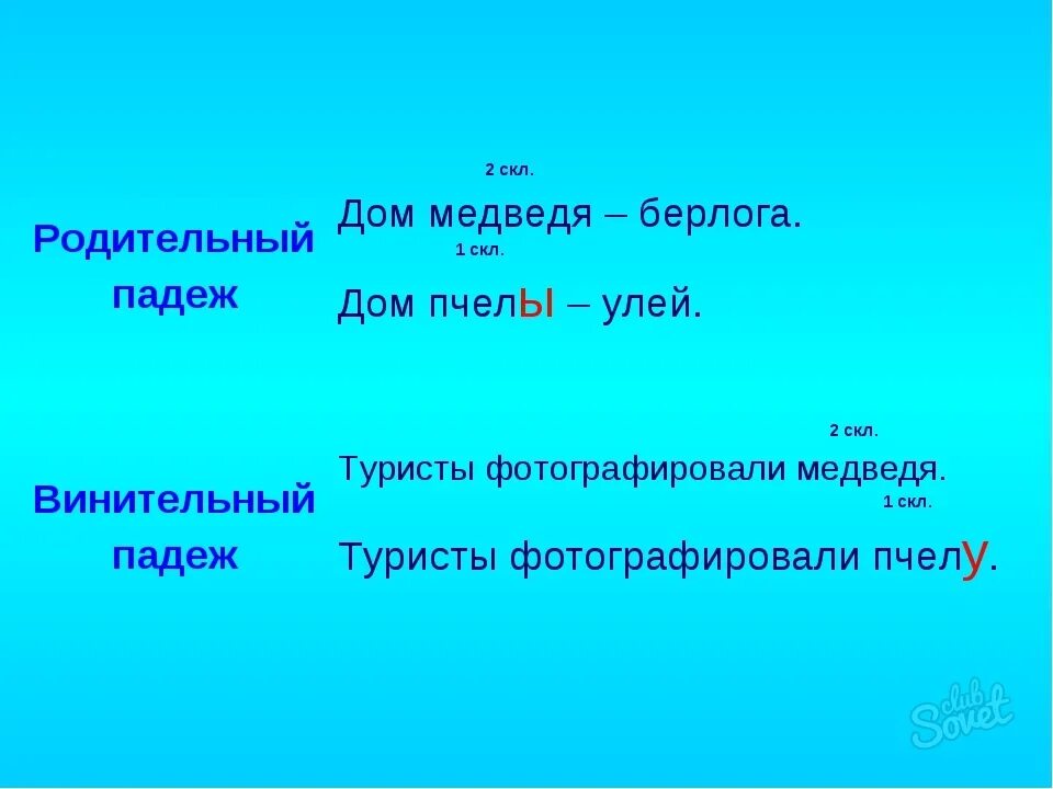 В берлоге падеж существительного