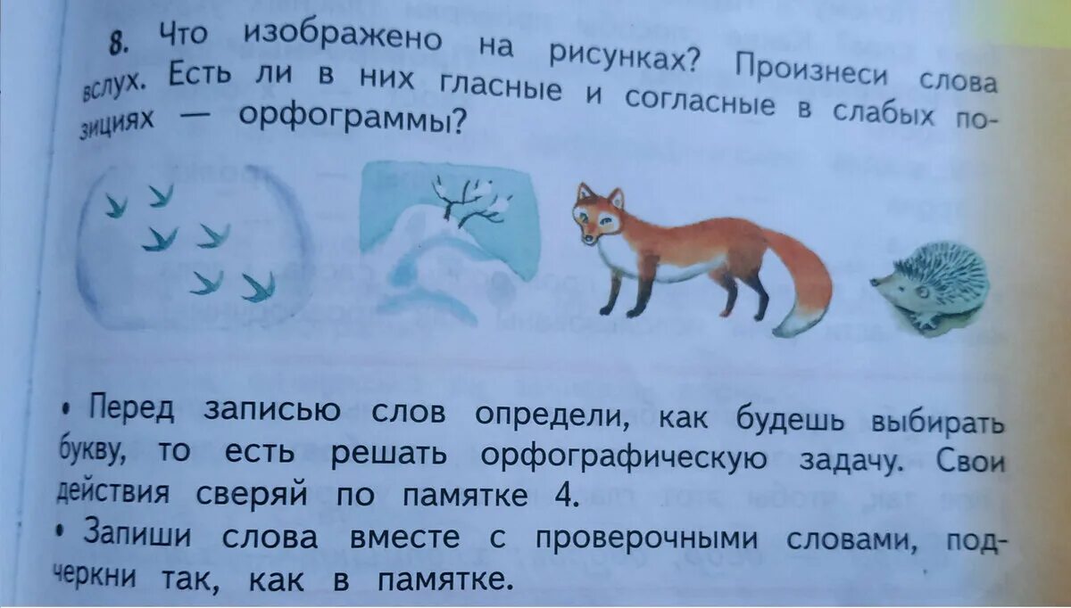 Рассмотри картинки произнеси слово название любого предмета. Что изображено на рисунках. Произнеси слова вслух.. Рассмотри картинку назови слова на букву т. Посмотри на картинки произнеси слова и запиши их в тетрадь across down.