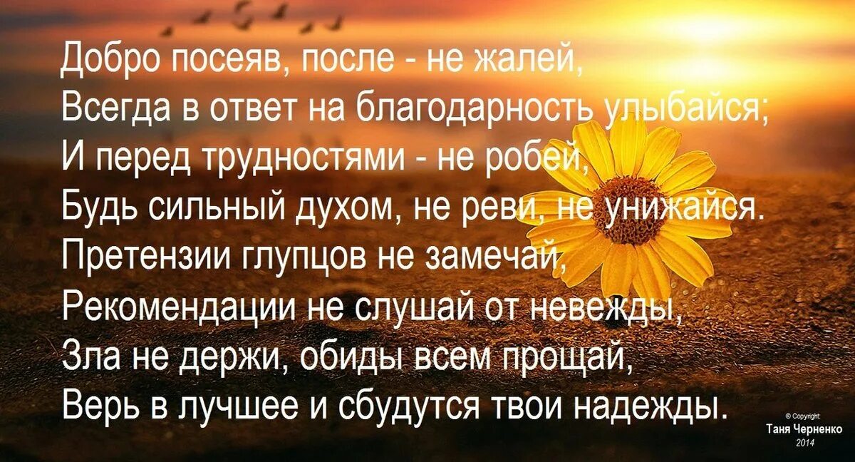 Всегда нужно надеяться на лучшее сочинение. Верь в хорошее. Всегда верь в лучшее. Надо верить в лучшее картинки. Верить и надеяться на лучшее.