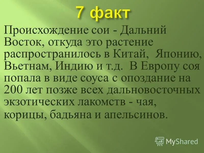 Соя род однолетних трав. Соевые бобы что это такое список. Соя культурное растение. Соя происхождение. Соя растение фото и описание.