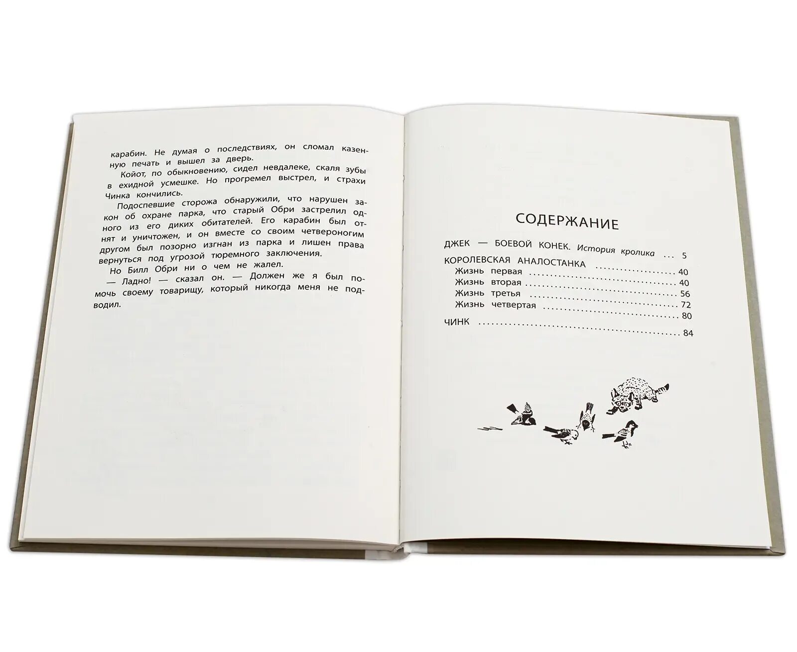 Книга рассказы о животных сетон томпсон. Джек боевой конек история кролика. Читательский дневник сетон томпсон джек боевой конек. Джек боевой конек краткое содержание. Сетон-томпсон рассказы о животных сколько страниц.