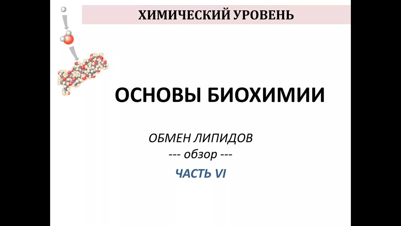 Химия уровень 1. Основы биохимии. Обмен липидов. Биохимические основы человека. Липиды биохимия.