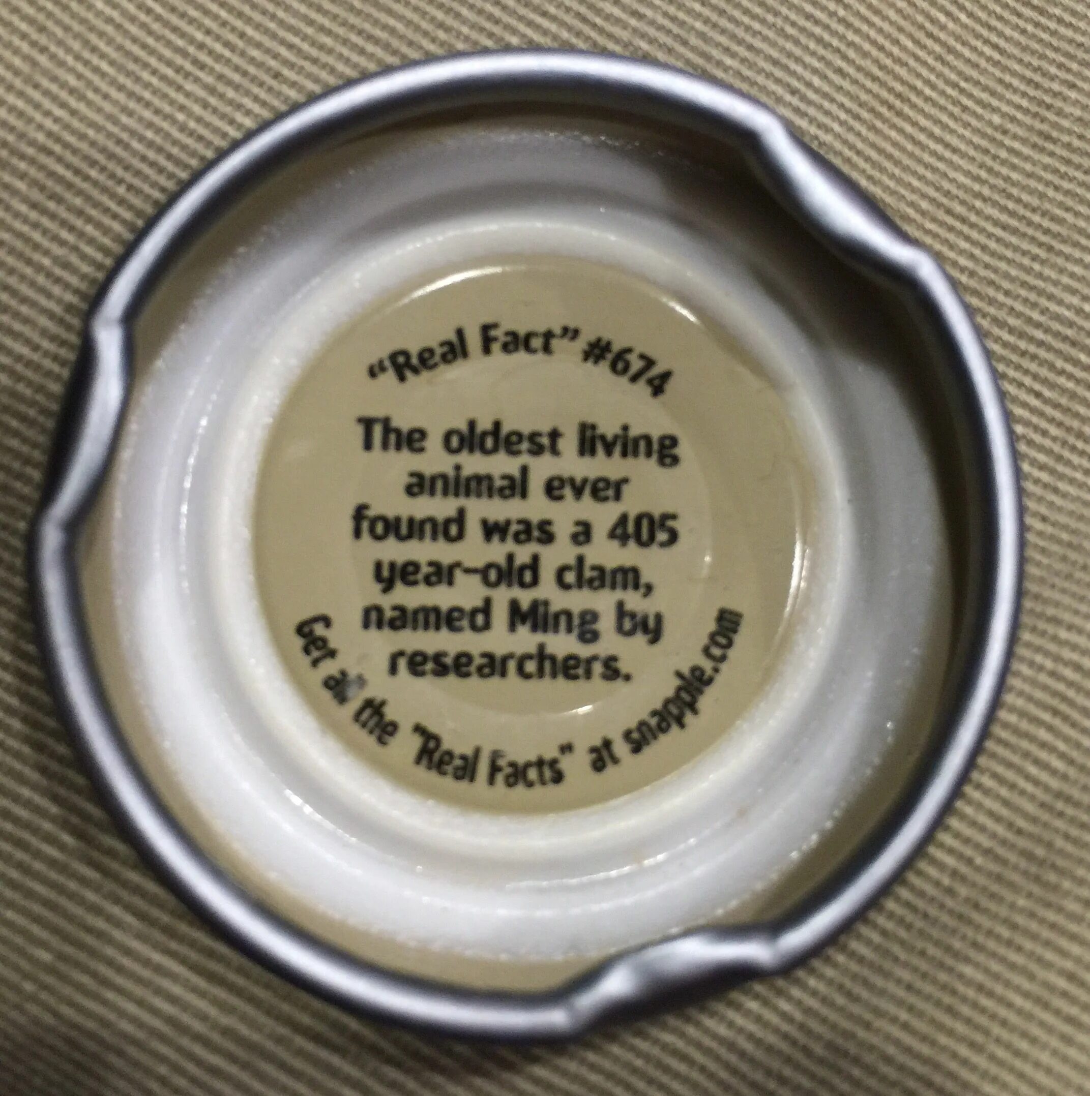 Snapple facts. Snapple cap facts. Snapple fact #27.