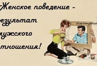 Между ними связей в поведение