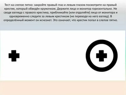 Где находится слепое пятно в глазу