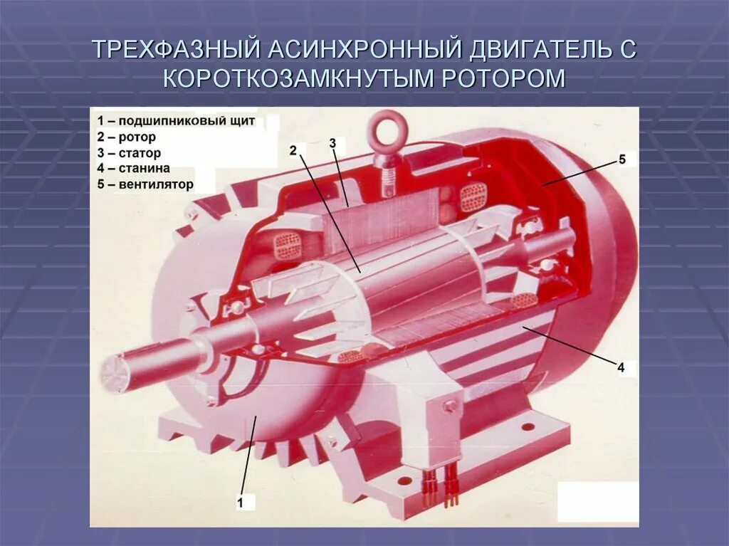 Аир устройство. Трехфазный асинхронный двигатель с короткозамкнутым ротором. Асинхронный двигатель переменного тока с короткозамкнутым ротором. Асинхронные электродвигатели с короткозамкнутым ротором вл 80с. Двигателя, короткозамкнутого ротора асинхронного двигателя.