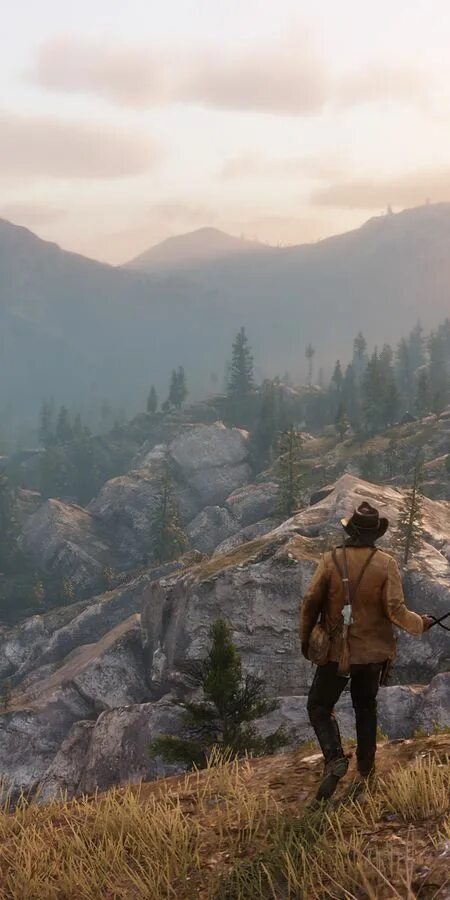 Red dead redemption ii морган. Red dead redemption 2 art. Red dead redemption 2 arthur morgan. Ковбой red dead redemption 2. Rdr на телефоне.