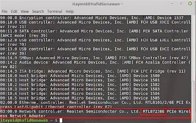 Amd host