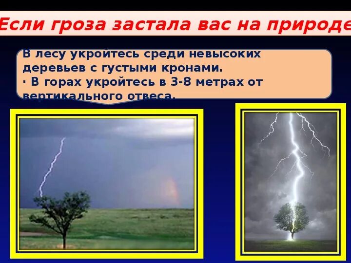 Если гроза застала вас в лесу. Если гроза застала в лесу. Застала гроза. Если гроза застала тебя на прогулке.