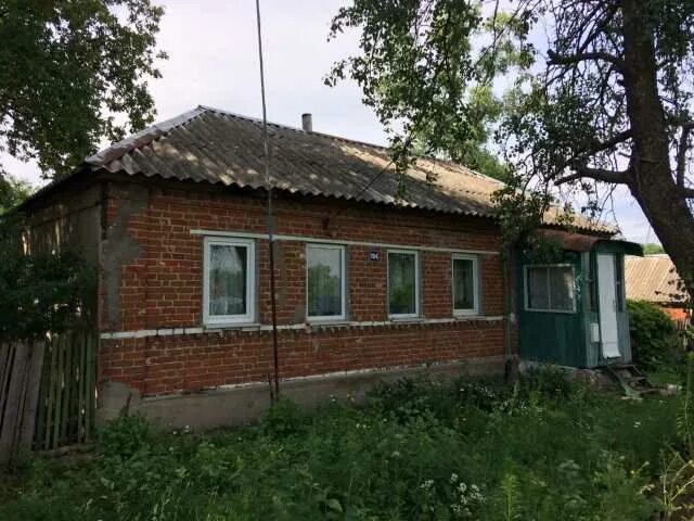 Погода дегтевая краснинский липецкая. Липецкая область, р-н краснинский, д корытное. Деревня федянино. Деревня дегтевое липецкая область. Погода дегтевая краснинский липецкая.
