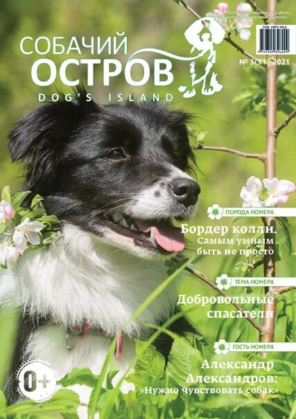 Журнал про домашних животных. Дневник стива. Майнкрафт дневник стива. Журналы с собаками страницы. Дневник стива 2 книга.