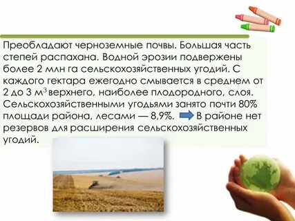 Черноземные почвы преобладают
