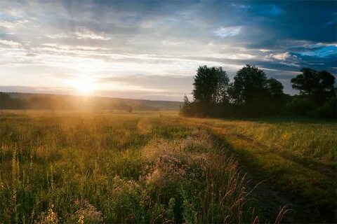 Длинные тени солнце село