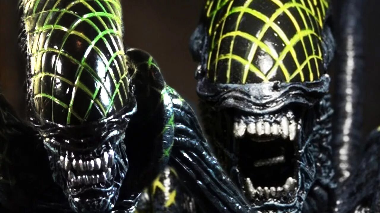 Ксеноморф. Грид. Aliens vs Predator 2010 Ксеноморф. AVP 2010 Epic. AVP 2010 xenjmorphs. Видео чужой против чужого