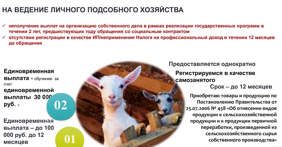 Число личных подсобных хозяйств