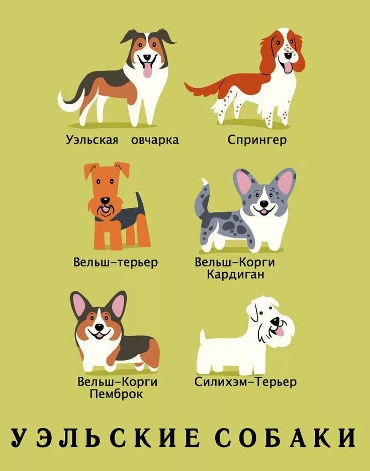 Описание вышло покурить и не вернулось.