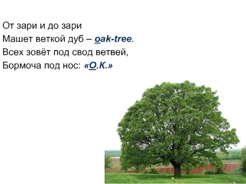Прочитайте дубы дуб. От зари до зари. английский дуб ветка. составь предложение от зари до зари. от зари до зари 2 класс.