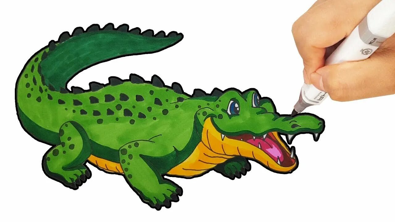 Купить крокодил про. Крокодил рисунок. Крокодил для детей. Крокодил для рисования. Нарисовать крокодила.