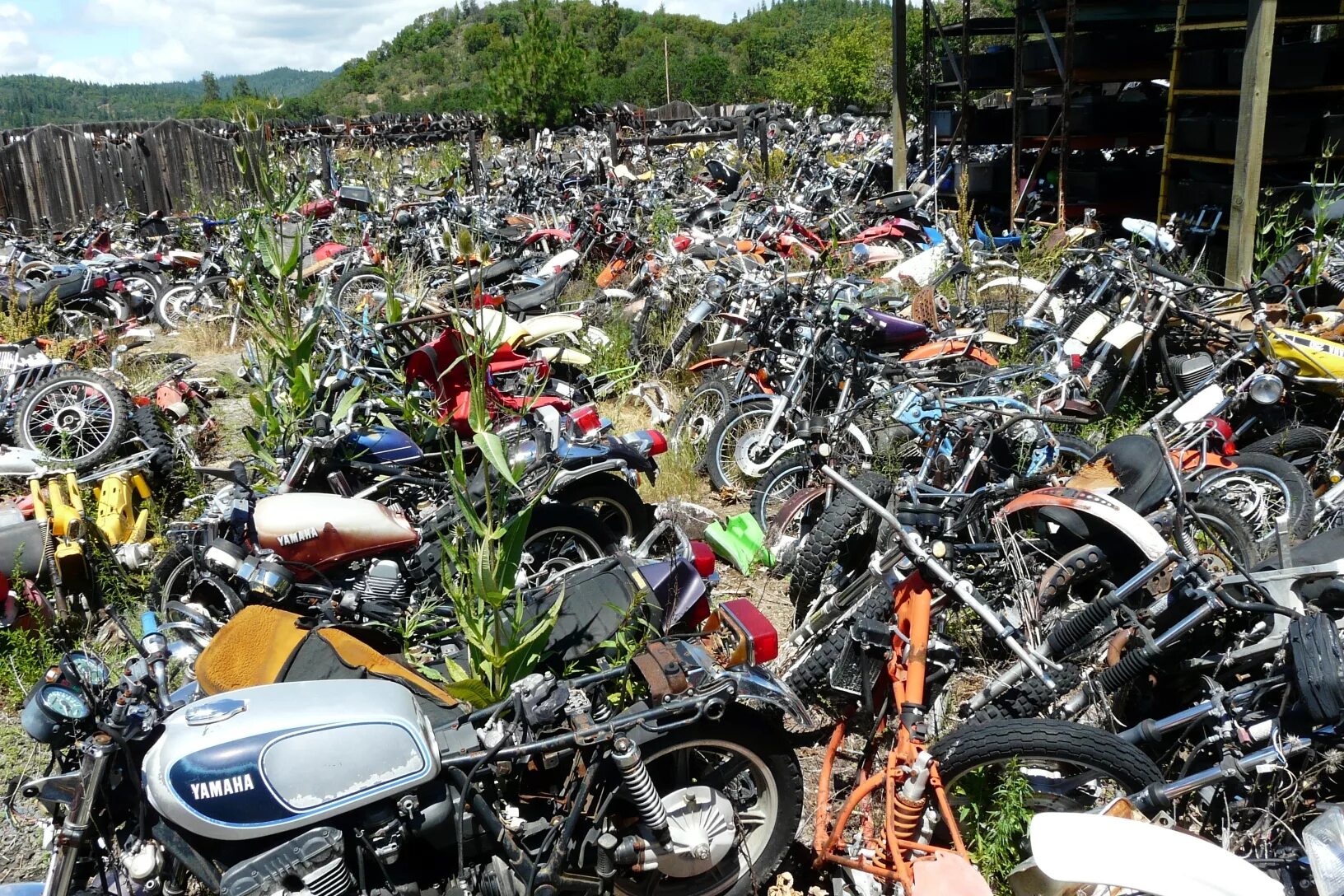 мотосалон на авиамоторной мегамото. рынок мотоциклов в сша. запчасти для японских скутеров. Vfr 750 красный 1995. сузуки rf 600.