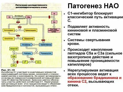 Нмо ответы ректоцеле по утвержденным клиническим рекомендациям