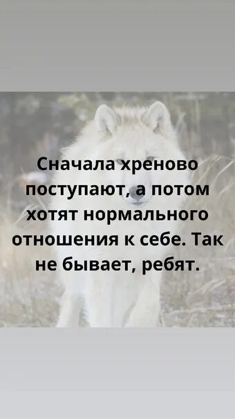 Каков привет таков и ответ. Какой привет таков и ответ. Каков привет таков и ответ картинки. Каков привет таков и ответ смысл.