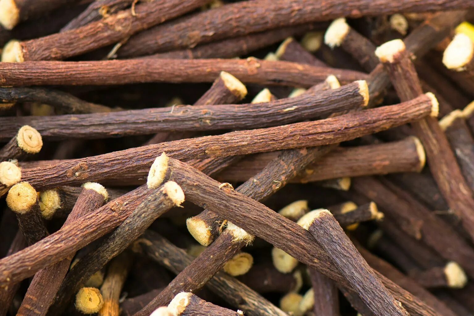 Что такое лакрица и как она. Glycyrrhiza glabra root. лакрица растение. лакрица дерево. сладость из корня солодки.