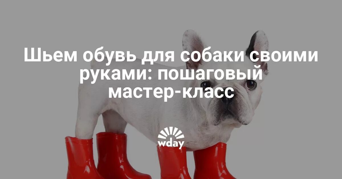 Обувь для собак своими руками. Обувь для собак своими руками