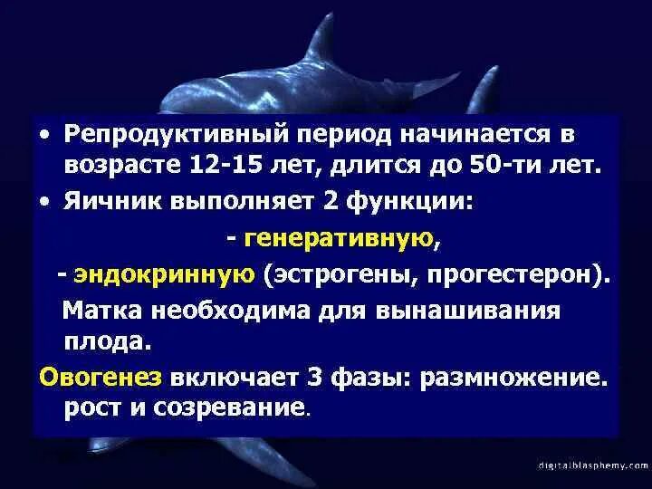 Носит исключительно репродуктивный. Характеристика репродуктивного периода. репродуктивный период продолжительностью. продолжительность репродуктивного периода женщины. особенности репродуктивного периода женщины.
