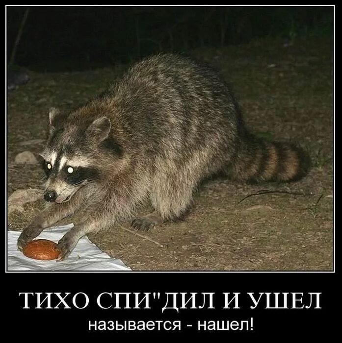 Как называется тихо пацаны