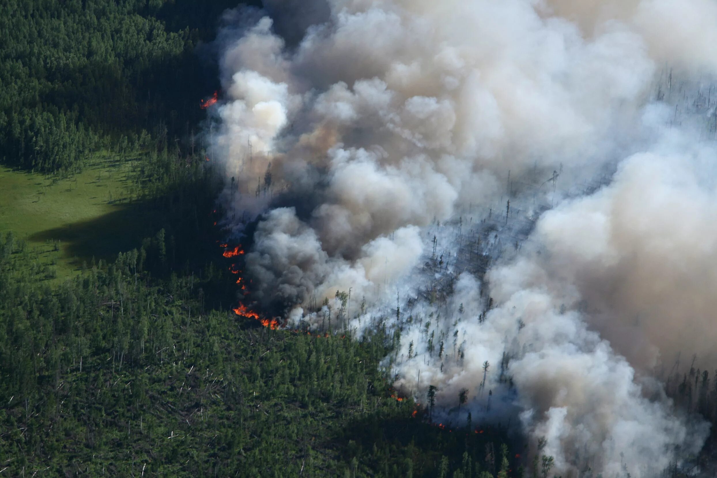 Пожары на Дальнем востоке. Лесной пожар вид сверху. Природные пожары на Дальнем востоке. Пожар лесов Дальний Восток.