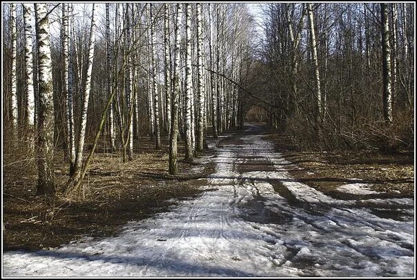 Артемон дери полоз