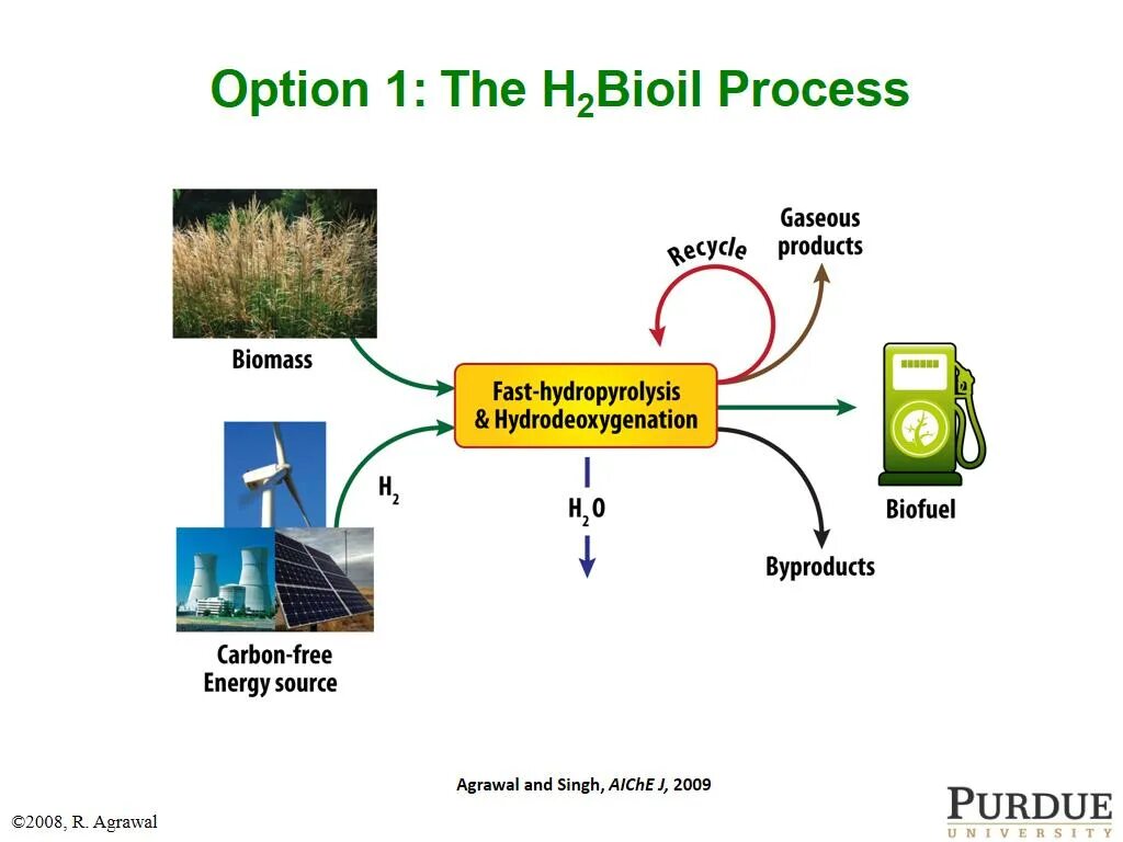 Energy process. Biofuel Prosecc. Biomass Energy схема. Biomass Energy sources. Модель biomass.