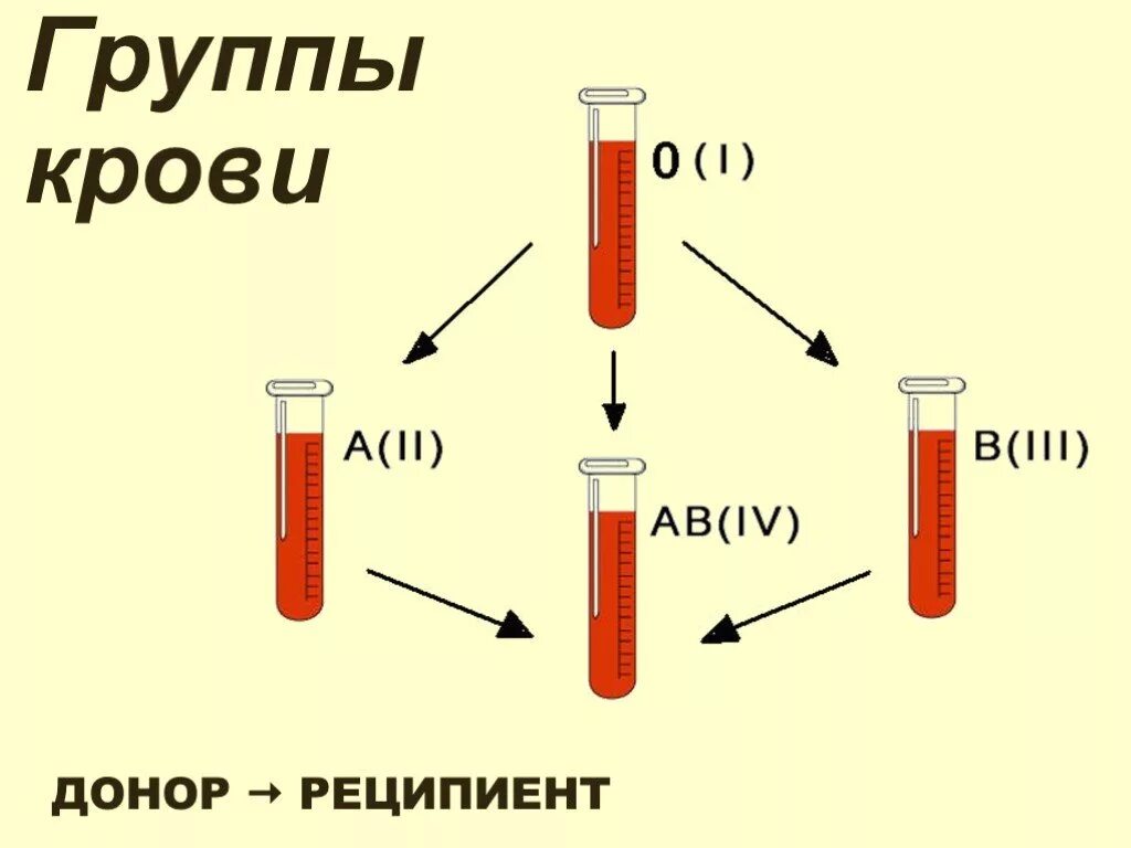 Реципиент и донор отличия. Донор и реципиент. Реципиент это. Таблица доноров и реципиентов крови. Группы крови донорство.