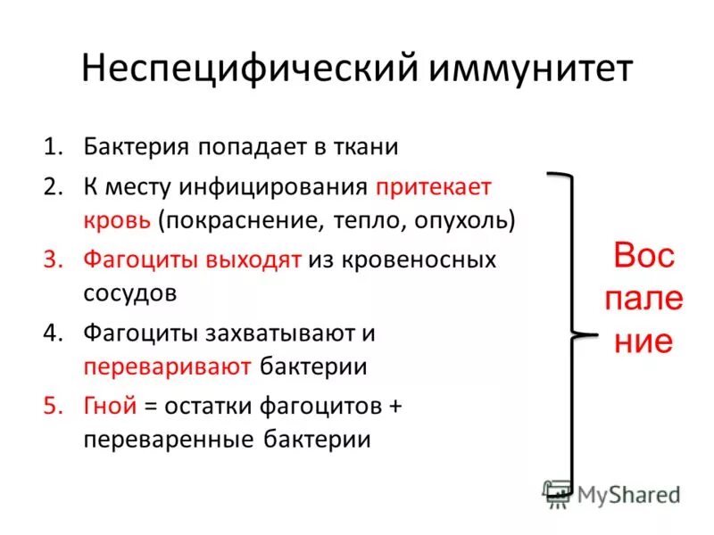 Неспецифический ответ организма на любое