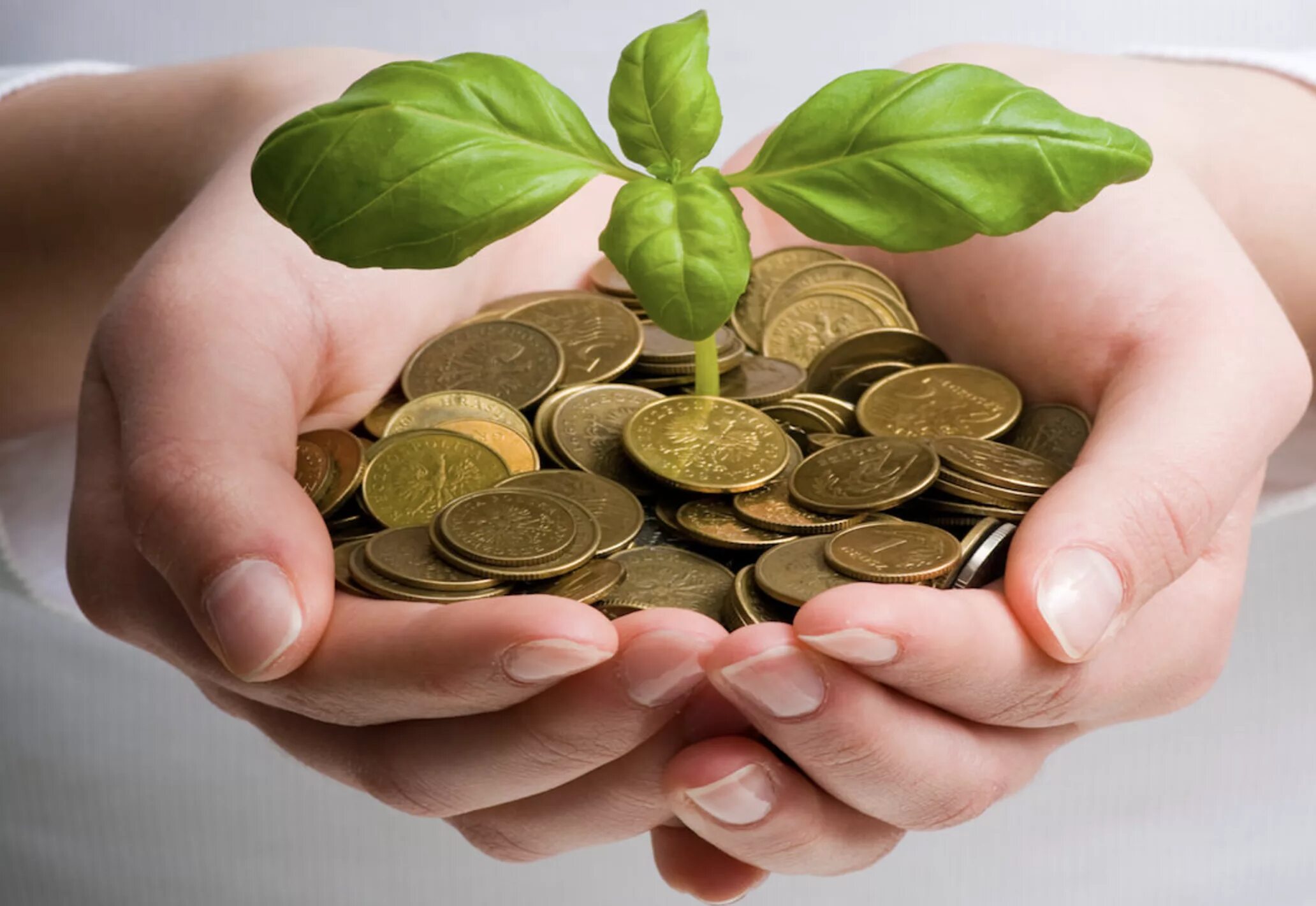 Физическое и психологическое здоровье. Жизненные цели схема. Структура социального благополучия. Социальное благополучие человека. Какое бывает благополучие.