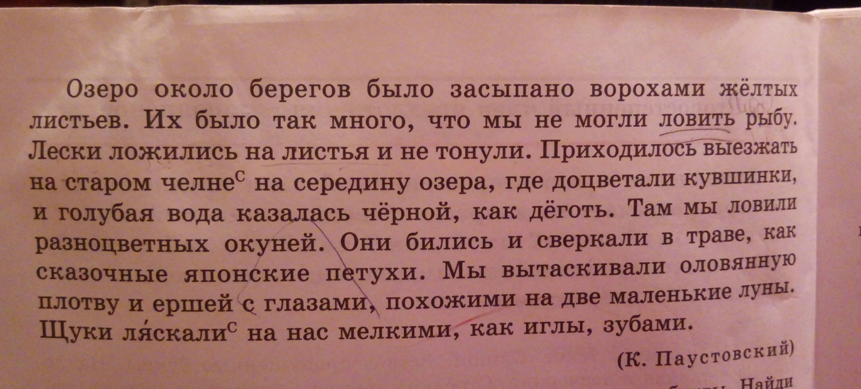 Озеро около берегов было засыпано ворохами желтых. Озеро около берегов было засыпано ворохами. Озеро около берегов было засыпано текст. Глубокое озеро около берегов было засыпано ворохом красивых листьев. Паустовский озеро. Около берега было засыпано ры жёлтый листик,.