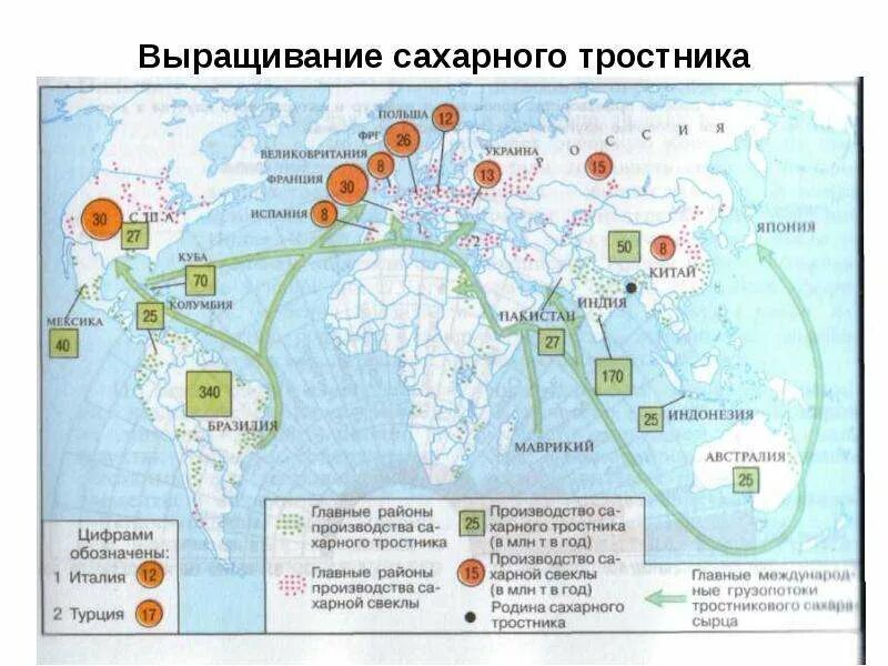 Страны выращивающие сахарный тростник