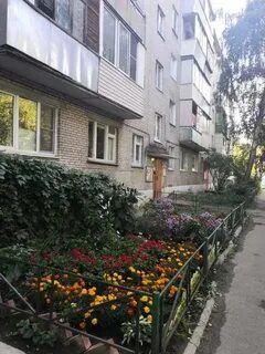 Лыткарино 1 комнатную